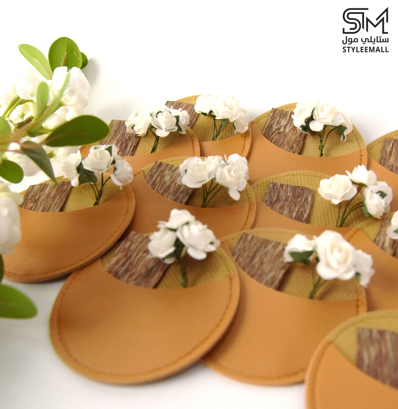 توزيعات روبرتو