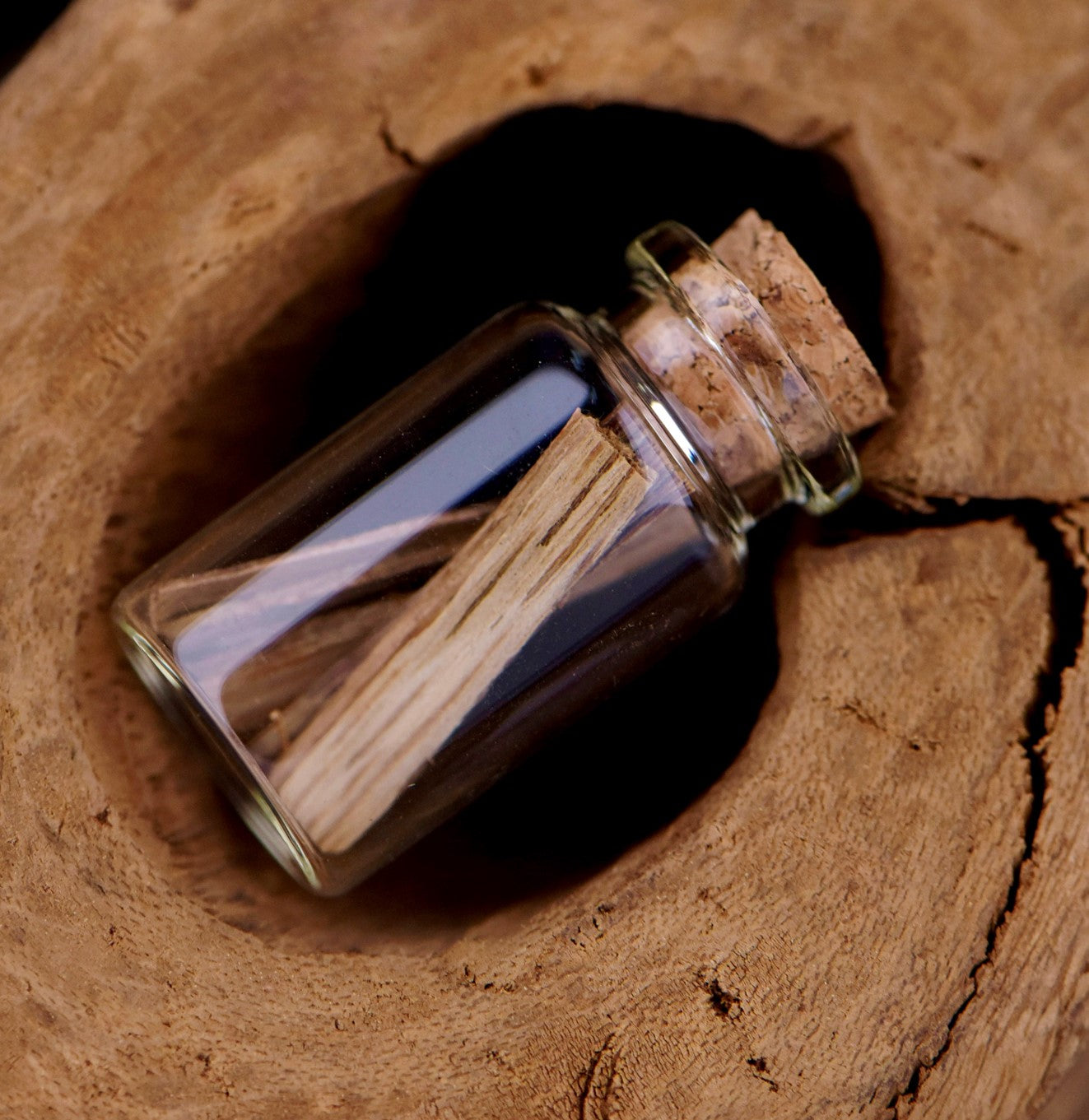 توزيعات دقة العود الفتنامي