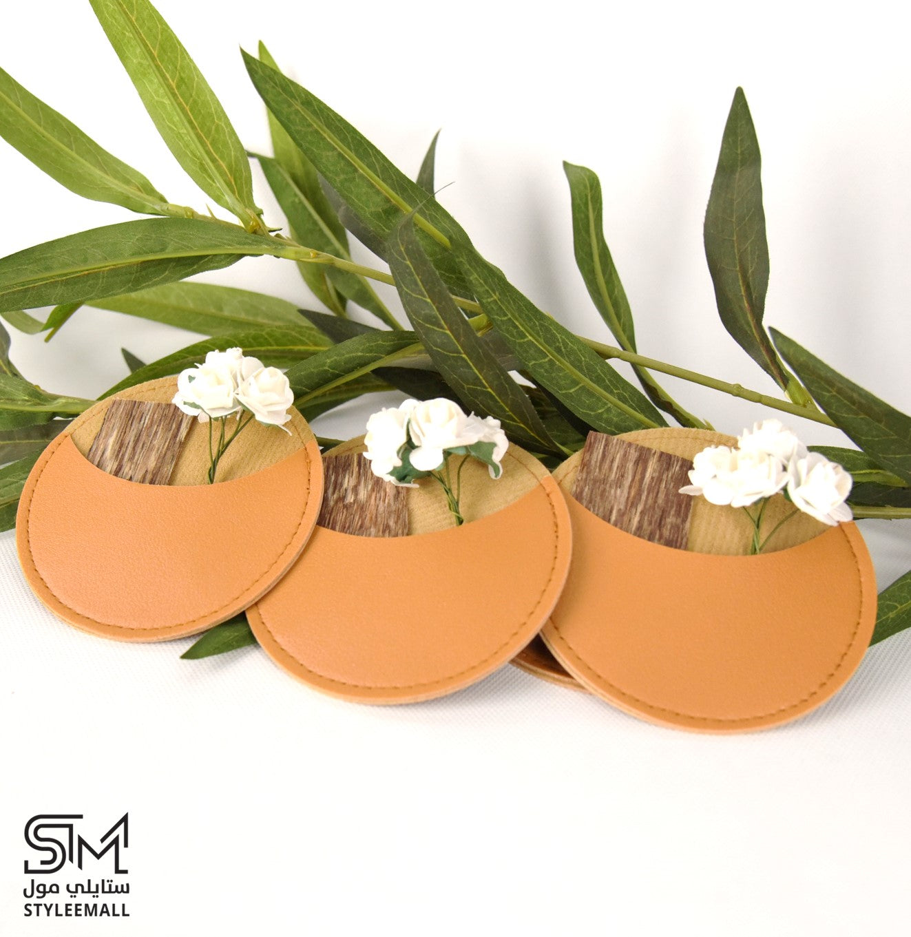 توزيعات روبرتو