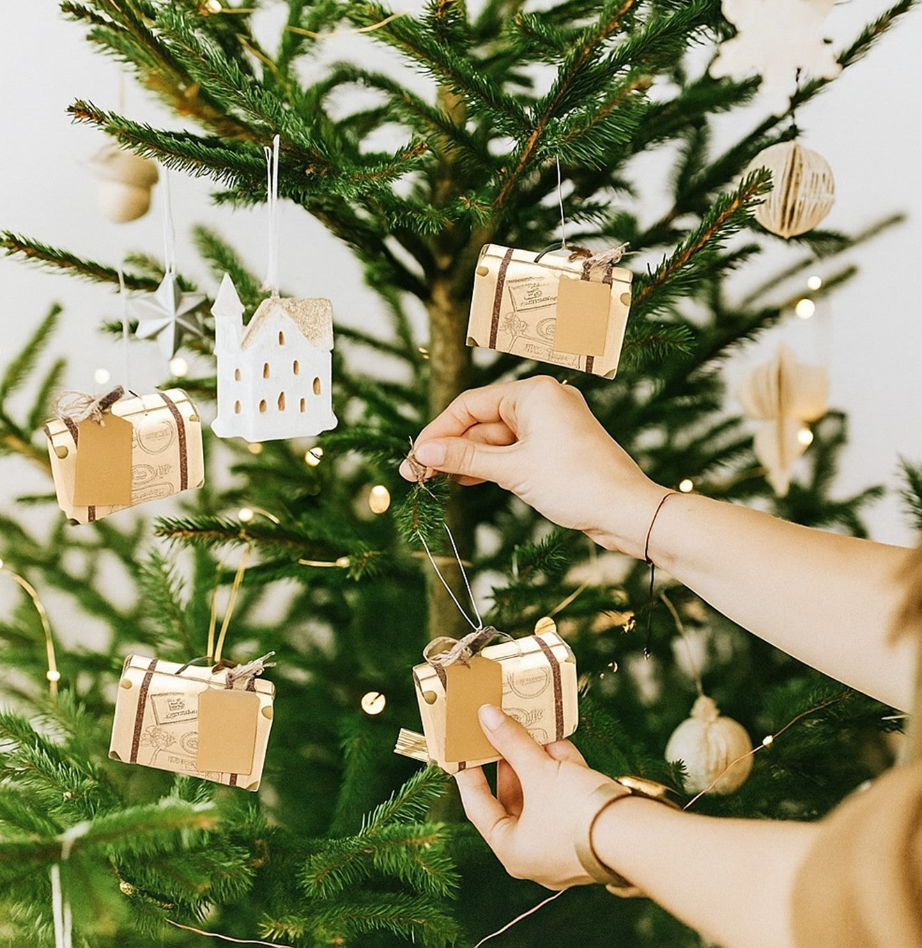 توزيعات لامينا (مسك الرمان الفاخر)