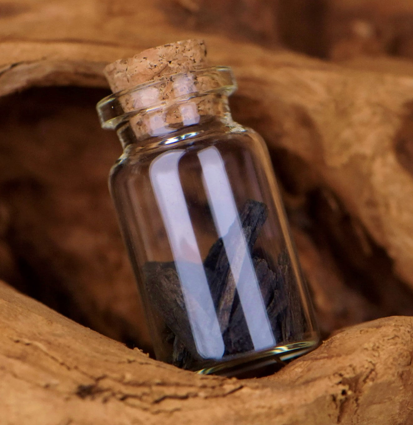 توزيعات مبثوث العود الطائفي