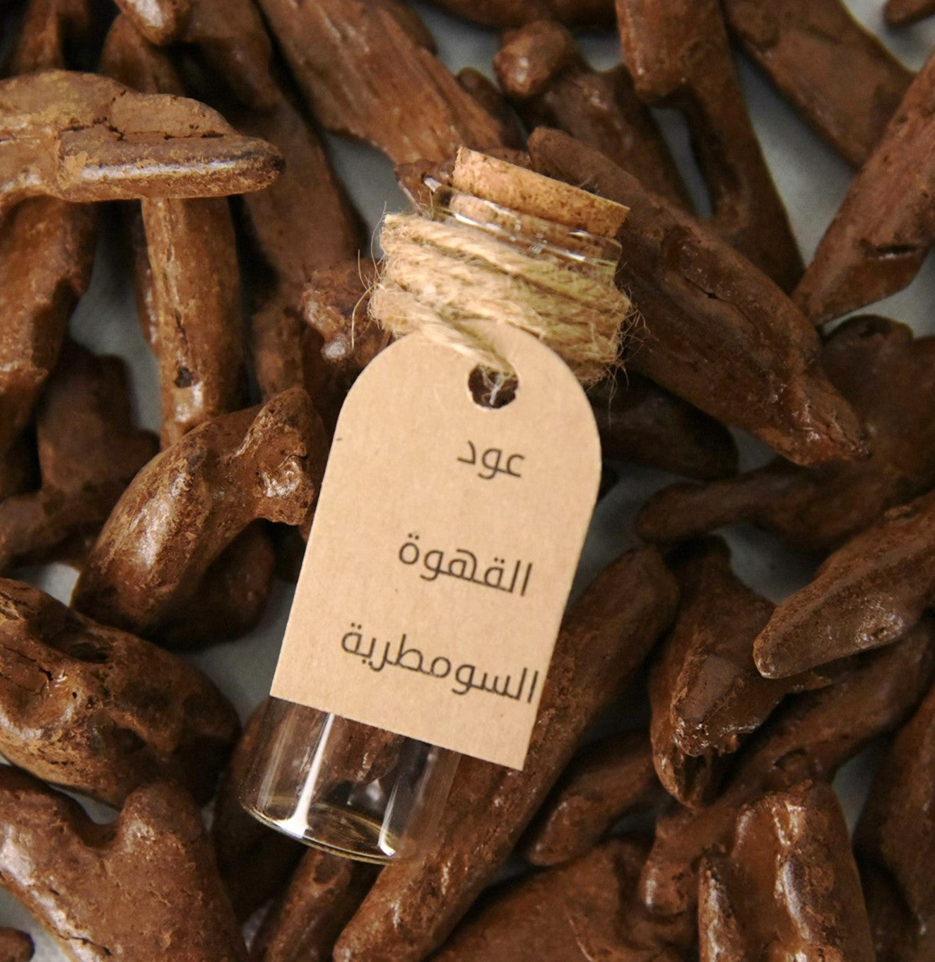 توزيعات القنينة (عود القهوة السومطرية)