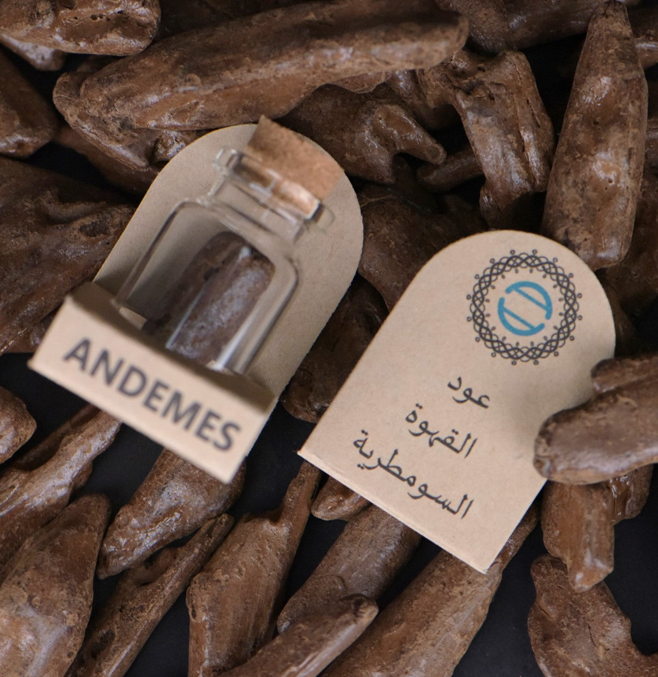 توزيعات عود القهوة السومطرية