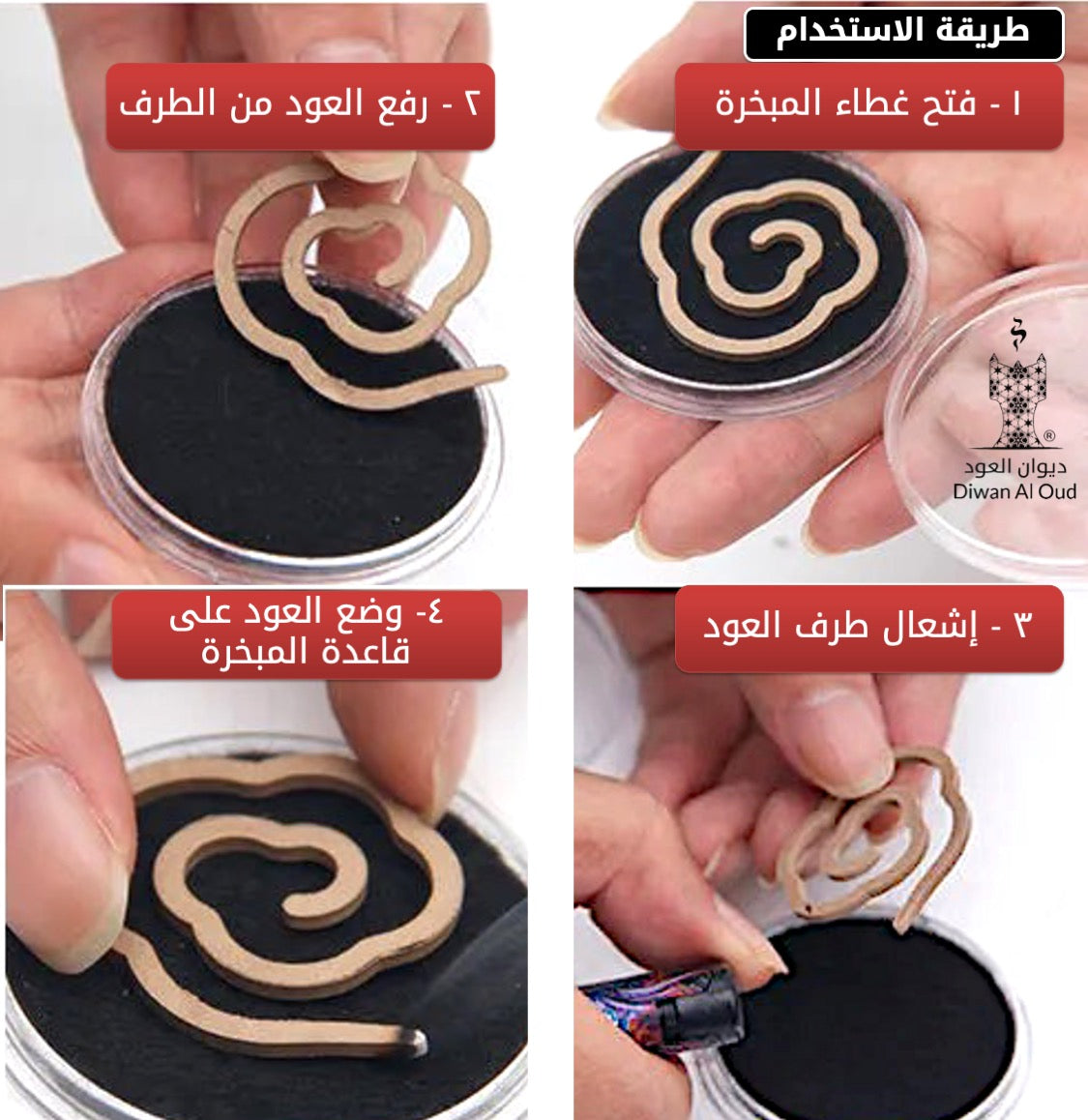 توزيعات ألبرت (كبسولة العود الملكي)