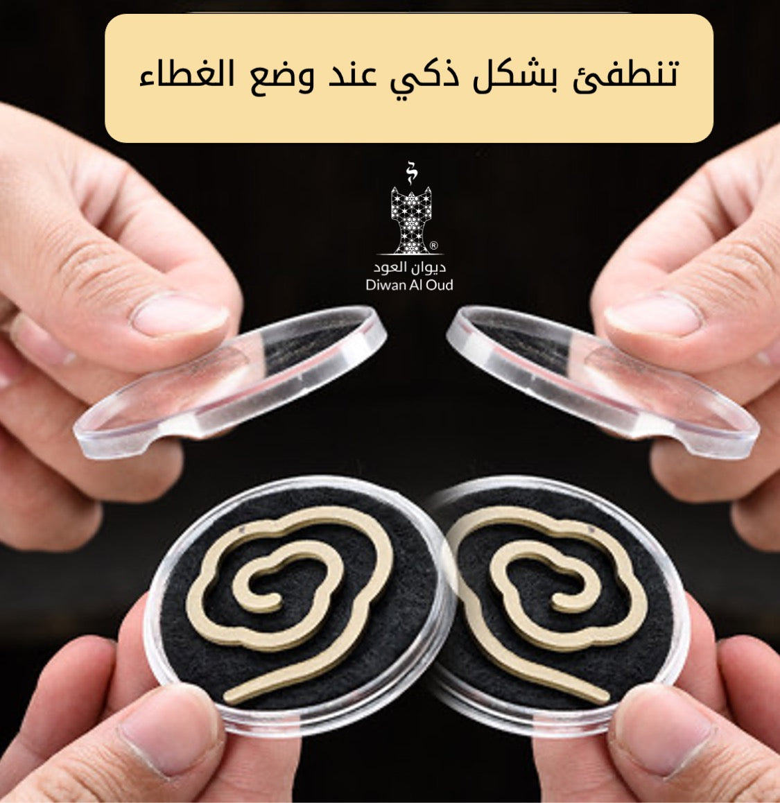 توزيعات فيرمير (كبسولة العود الملكي)