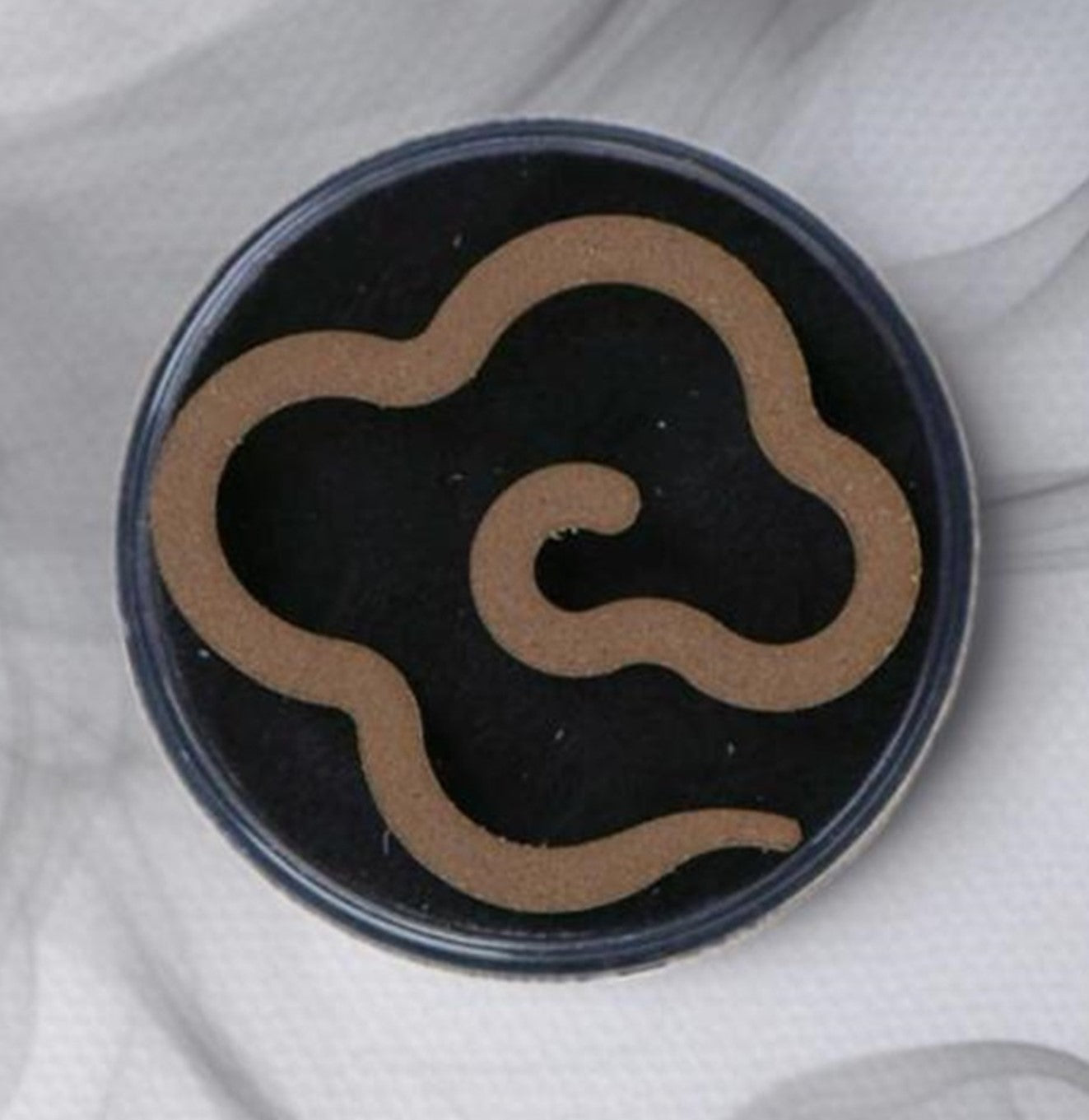 كبسولات الفضاء بالعود المروكي