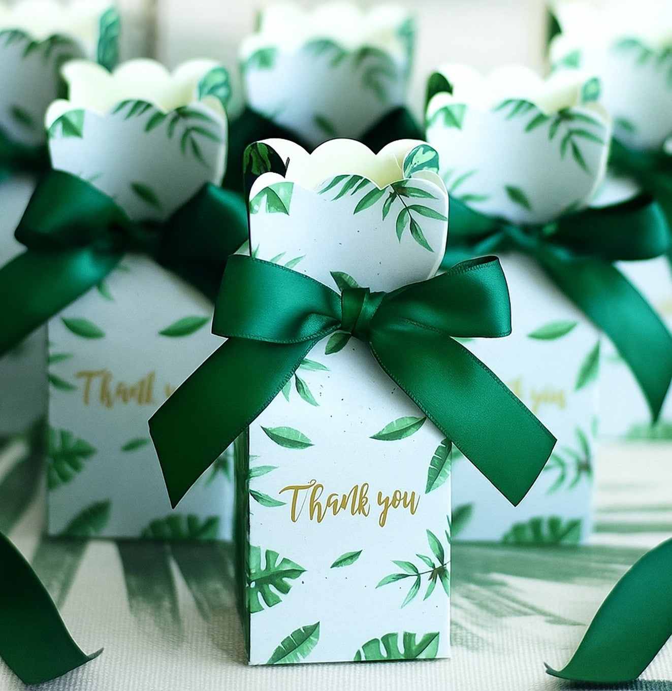 توزيعات ألبرت (كبسولة العود الملكي)