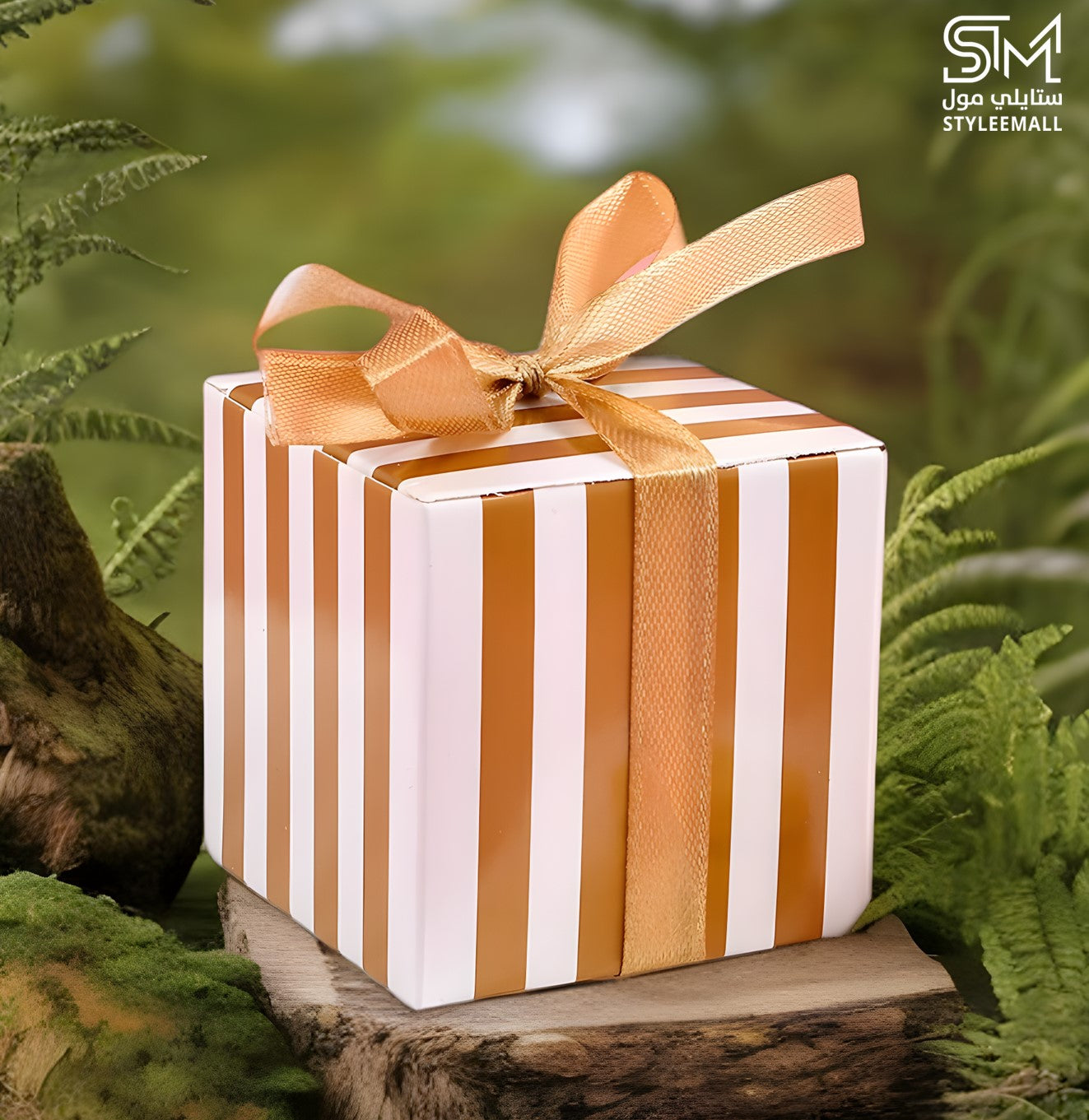 توزيعات فيرمير (كبسولة العود الملكي)