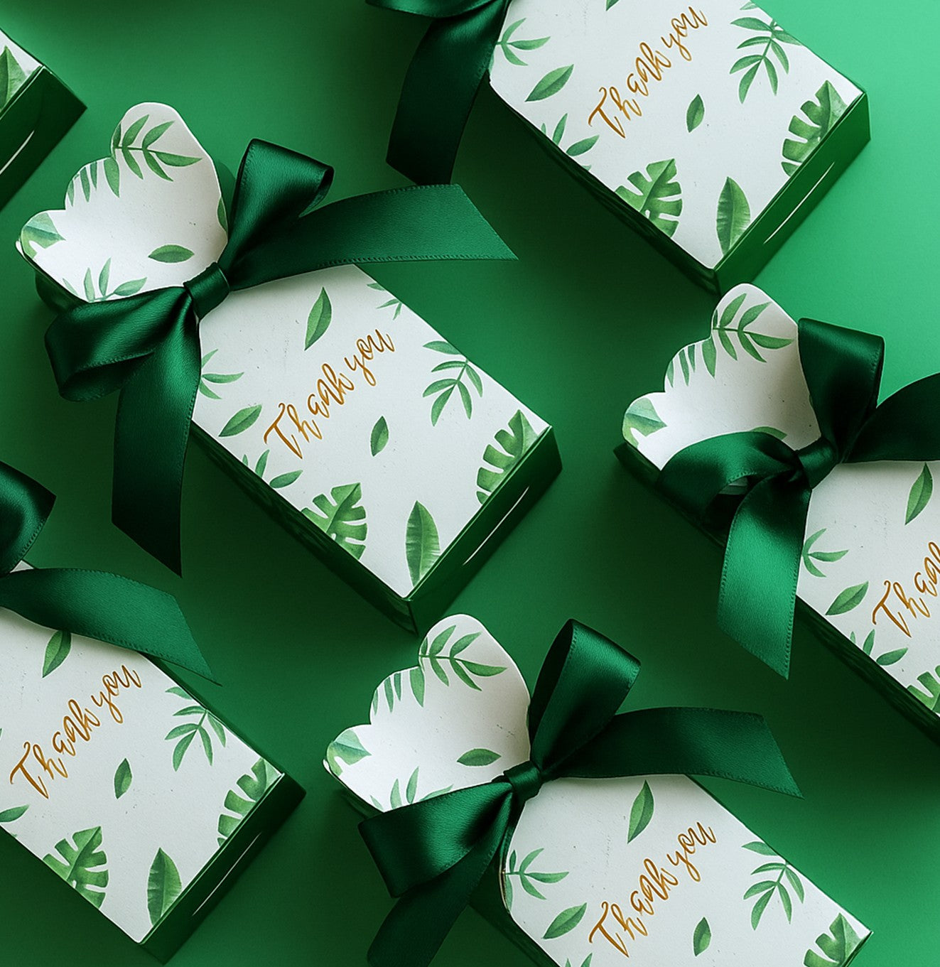 توزيعات ألبرت (كبسولة العود الملكي)