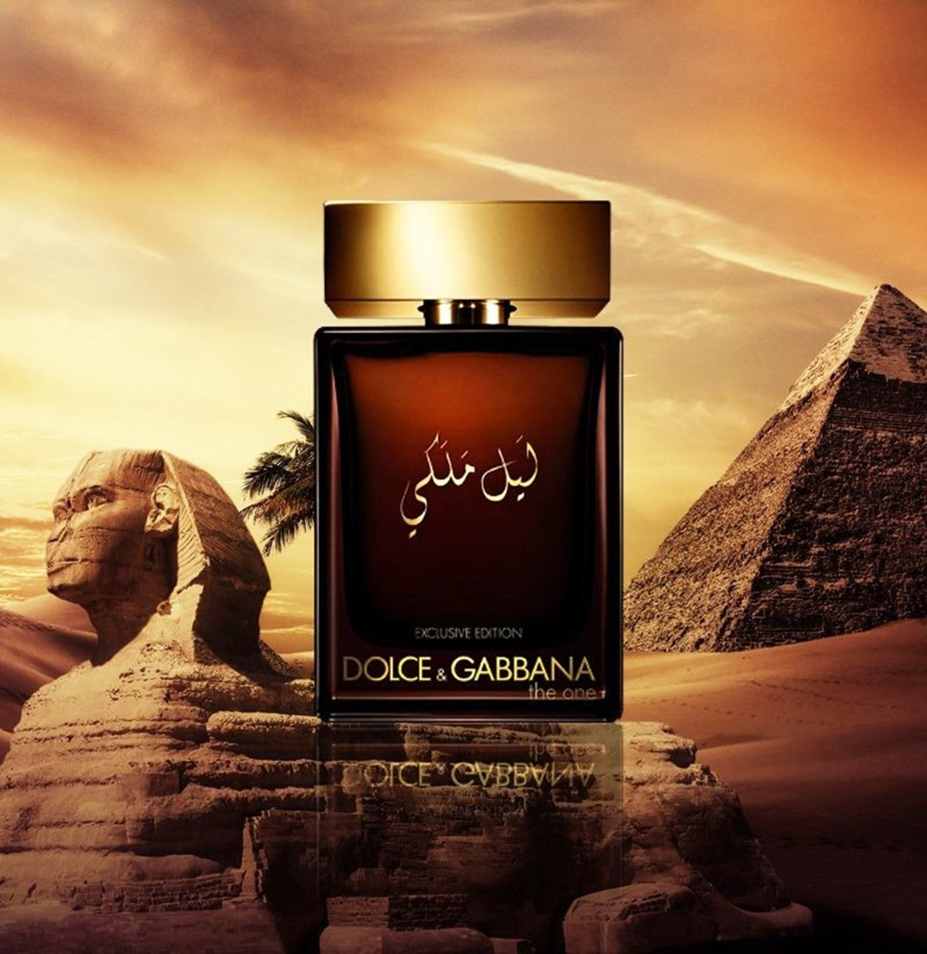 دولتشي آند غابانا ذا ون رويال نايت