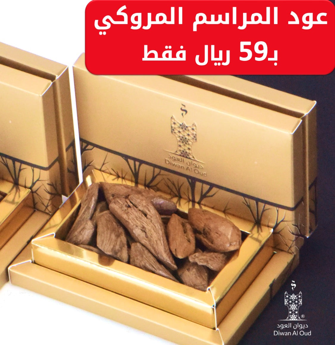 عود المراسم المروكي