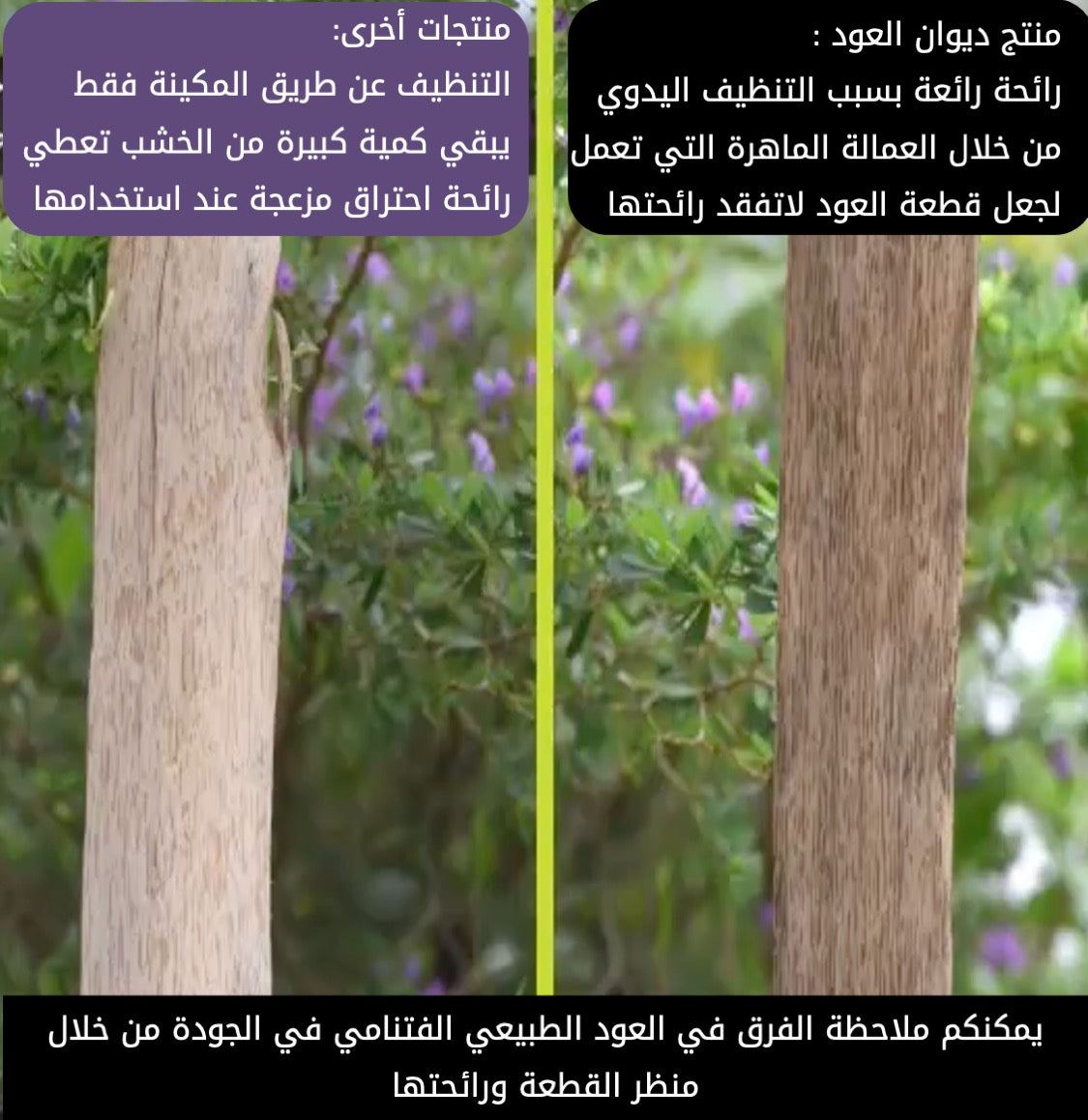 ثلاث علب عود شرائح الفتنامي الطبيعية الفاخرة