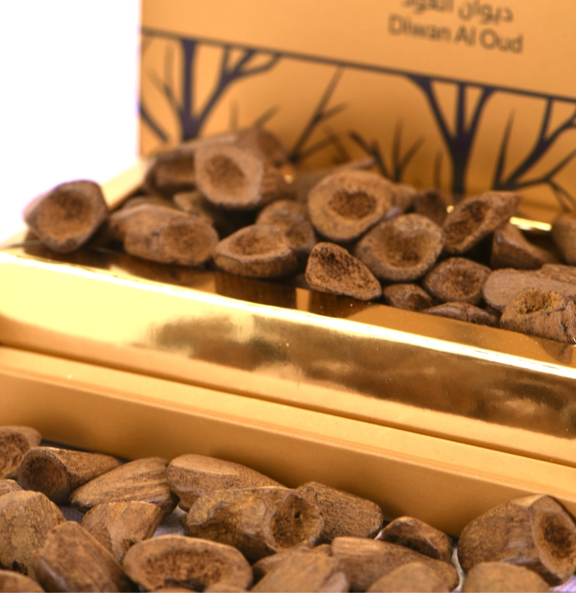 دقة قواقع العود المروكي (دبل سوبر)