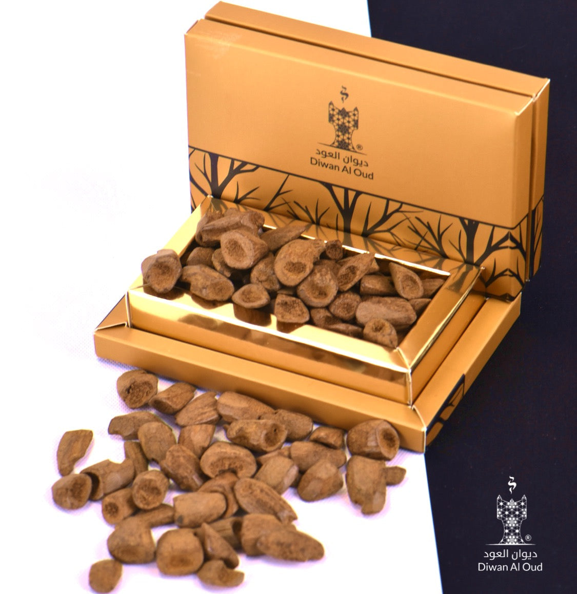 دقة قواقع العود المروكي (دبل سوبر)