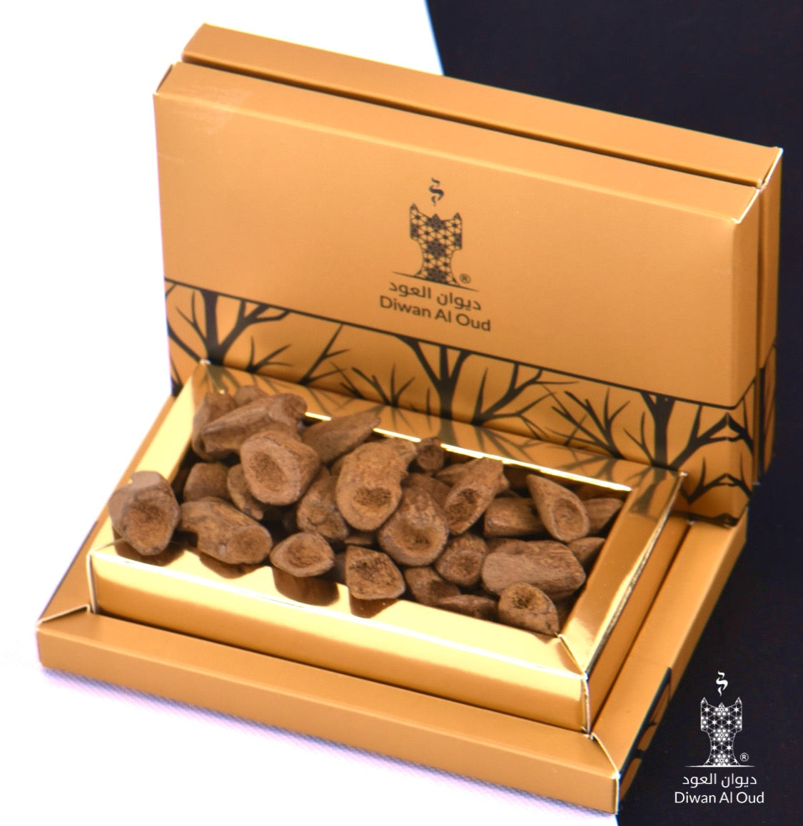 دقة قواقع العود المروكي (دبل سوبر)