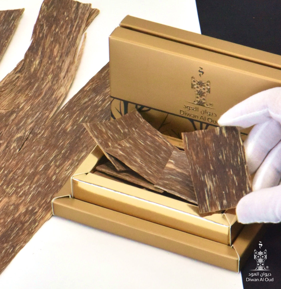 عود شرائح الفتنامي الطبيعية