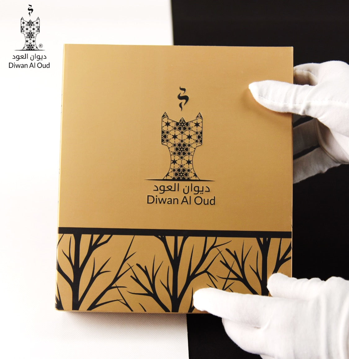 توزيعة العود الملكية