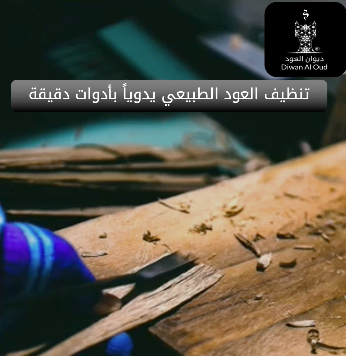 عود شرائح الفتنامي الطبيعية