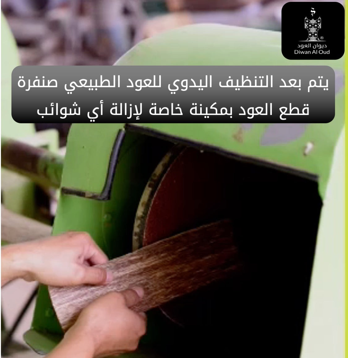 عود شرائح الفتنامي الطبيعية