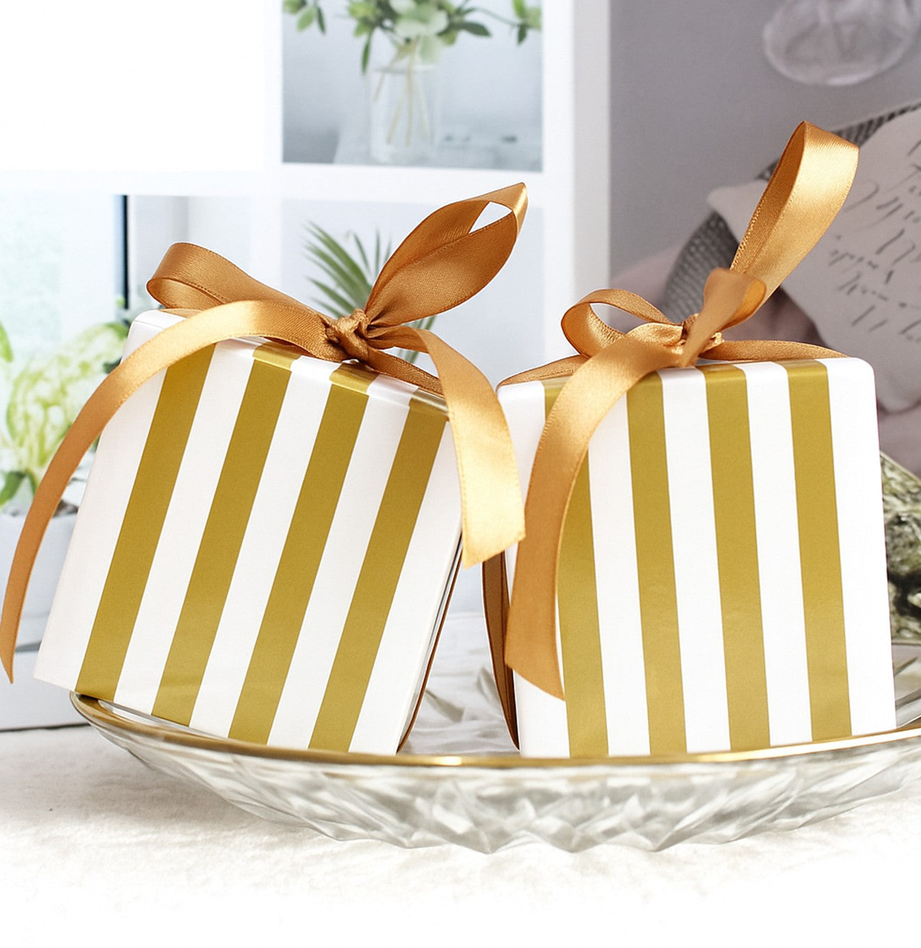 توزيعات فيرمير (كبسولة العود الملكي)