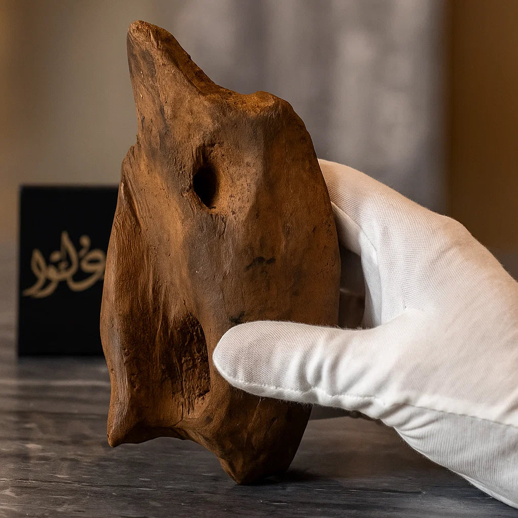 عود القصور  (قطع ملكية خاصة) بصندوق فاخر للحفظ والإهداء