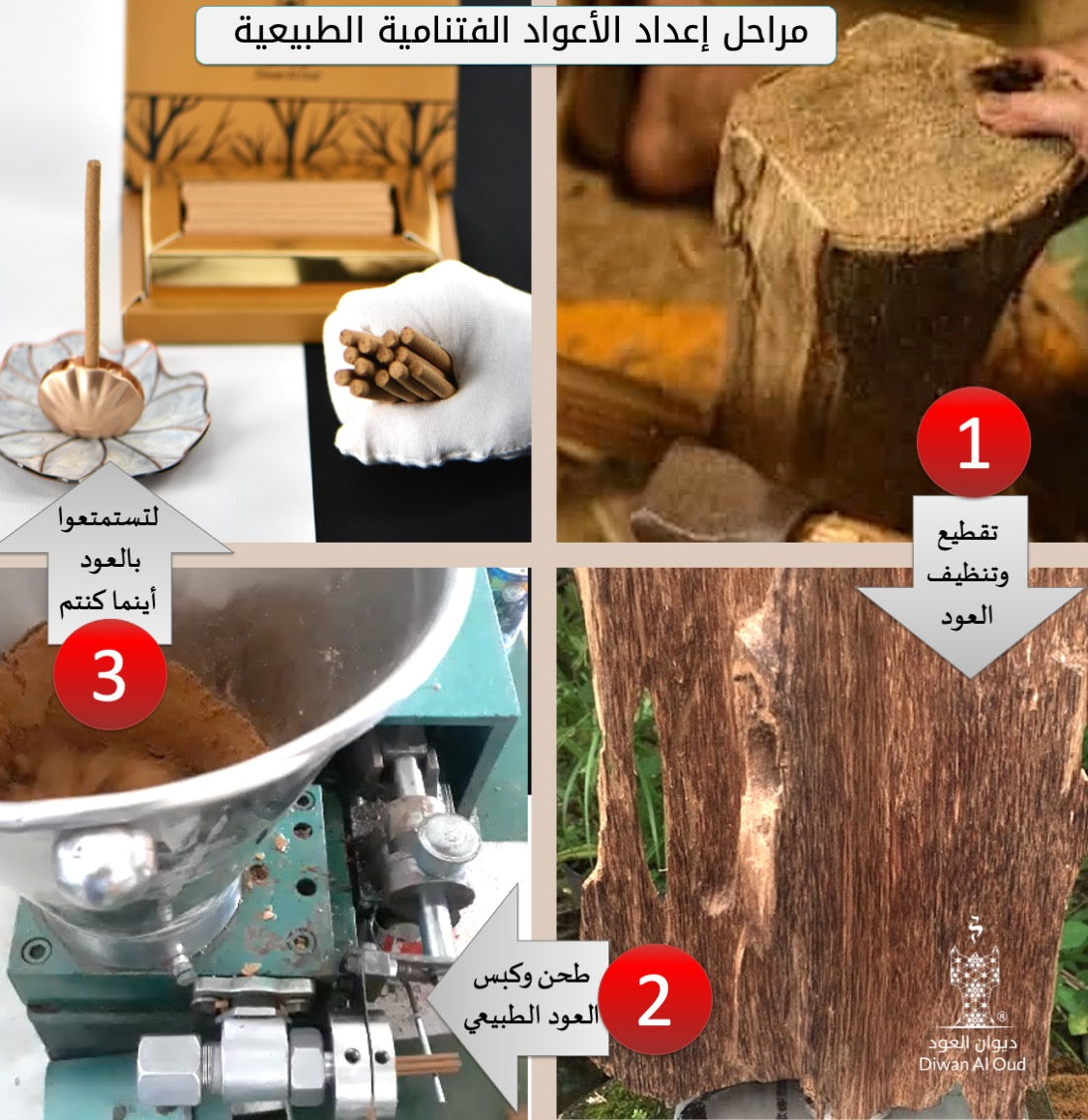 مجموعة العود الفتنامي الطبيعي الملكي الأسطواني