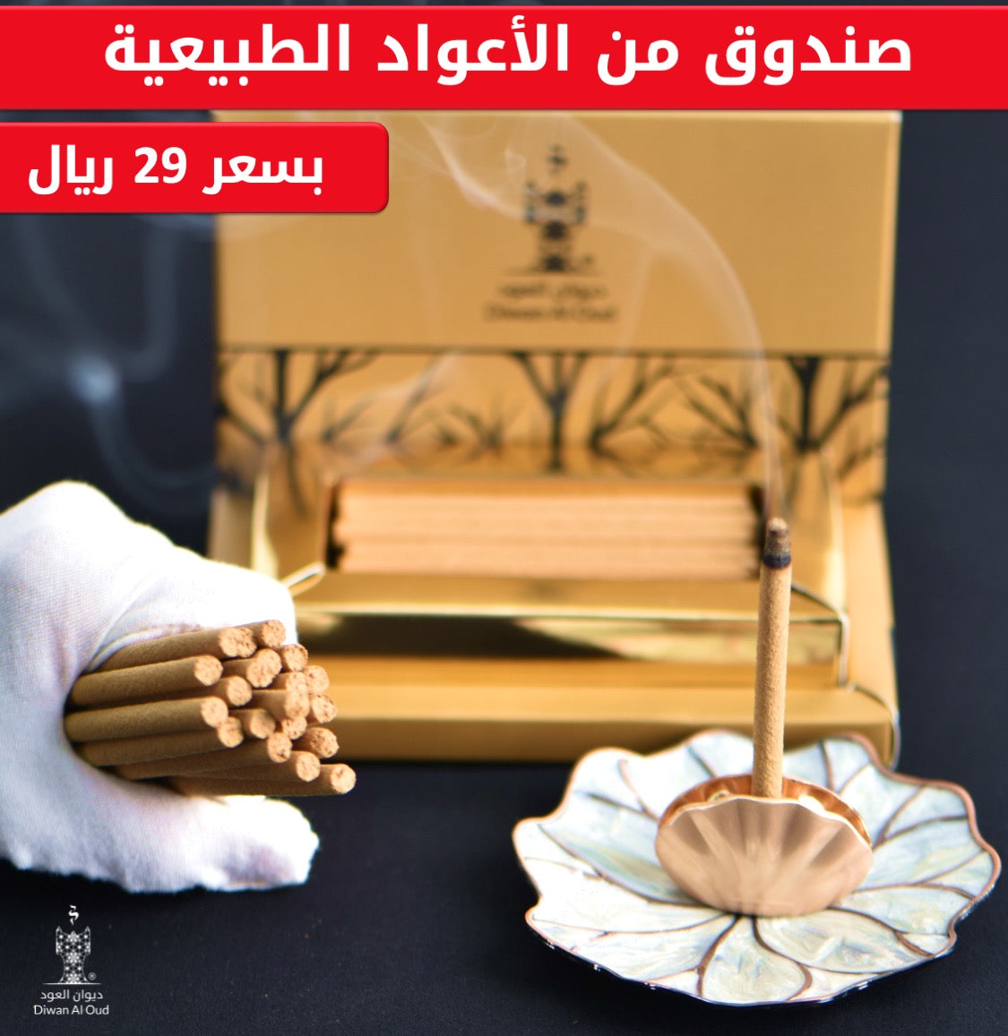 العود الفتنامي الطبيعي (الأسطواني) السميك جداً