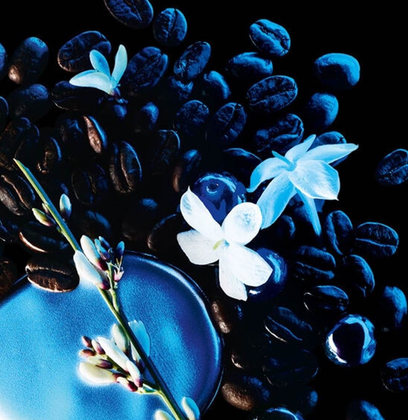اف سان لوران بلاك أوبيم إنتنس - StyleeMall